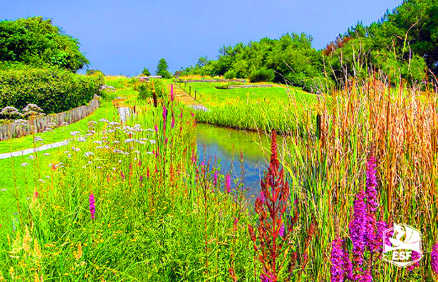 jardin botanique saint jean de luz